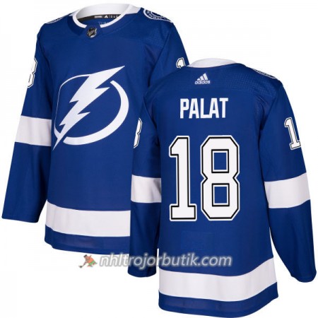 Män Ishockey Tampa Bay Lightning Tröja Ondrej Palat 18 Adidas 2017-2018 Blå Authentic